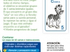 9_animales-escondidos-dorso-pack.jpg